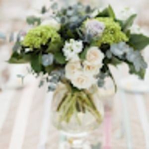 Meet your Posher, Judith